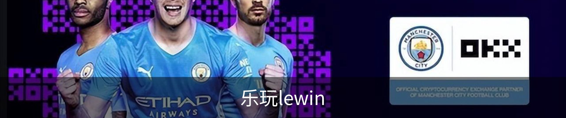乐玩lewin